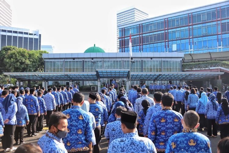 CPNS dan PPPK di Buka! Cara Cek Formasi CPNS dan PPPK September 2023